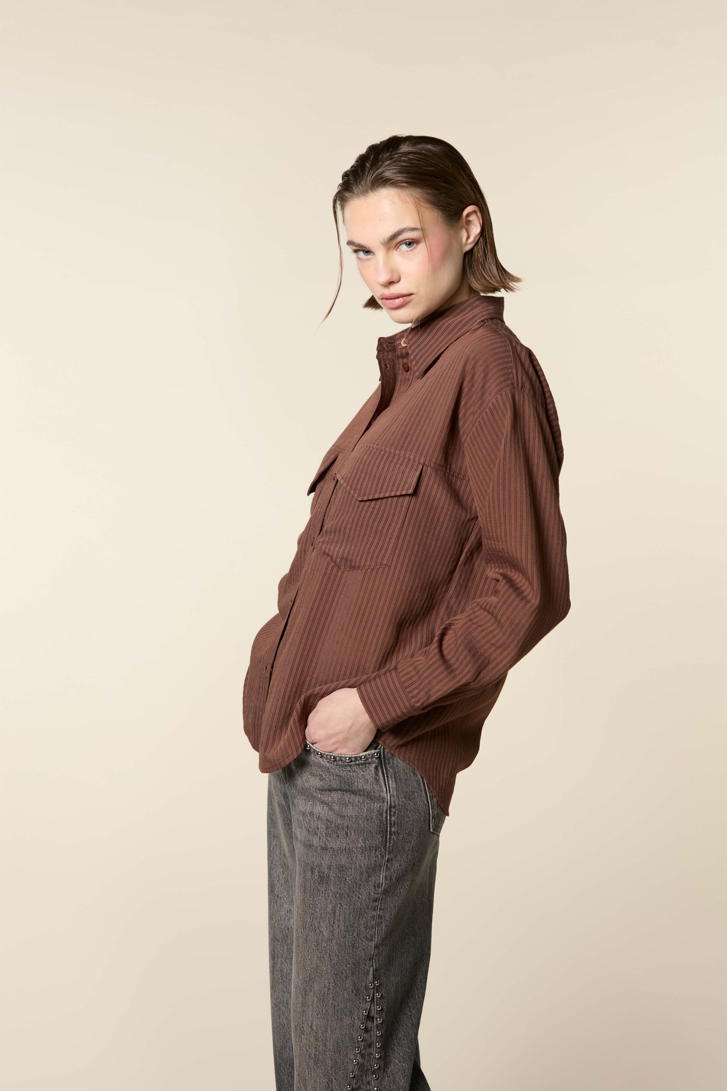Transparent Stripe Blouse Mid Brown