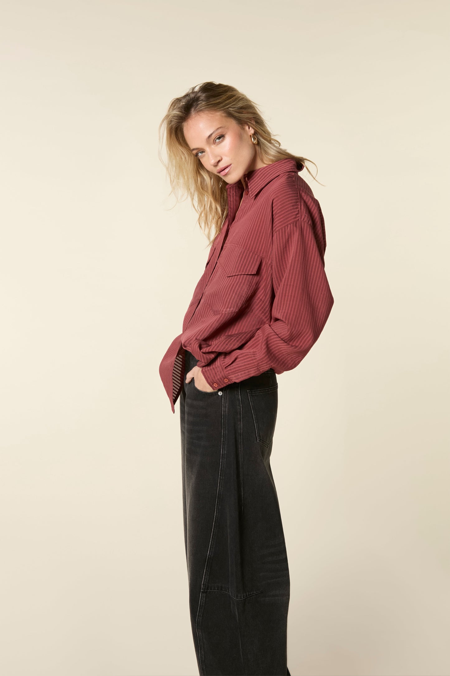 Transparent Stripe Blouse Light Grape