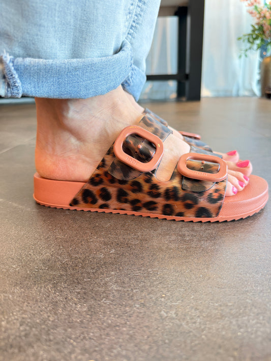 Igor Habana Brillo Leo Terracota